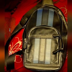 Coach Blue Varsity Stripe Slingback bag